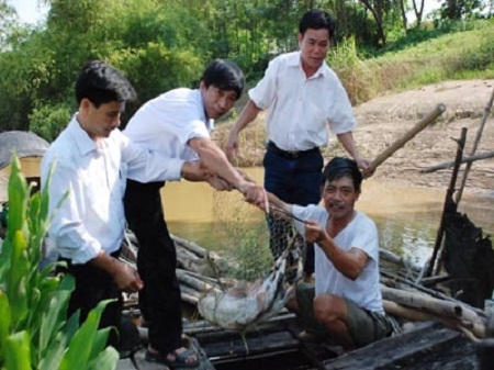 Con cá bống gần 5 kg được các nhà khoa học làm mẫu nghiên cứu