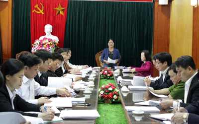Đồng chí Trần Thị Hoa Sinh, Phó Trưởng Đoàn ĐBQH tỉnh phát biểu tại hội nghị