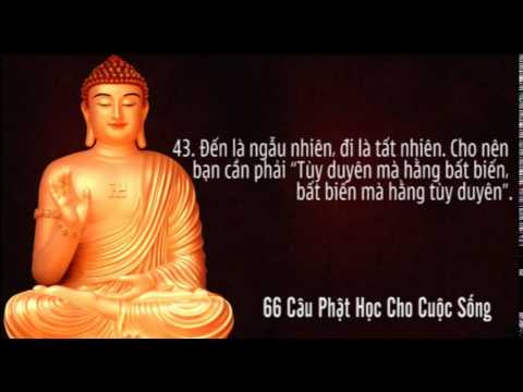Học Phật cho đời sống thêm hạnh phúc