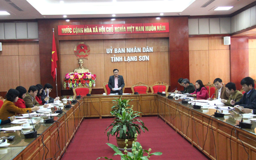 Đồng chí Phó chủ tịch UBND tỉnh phát biểu chỉ đạo phiên họp