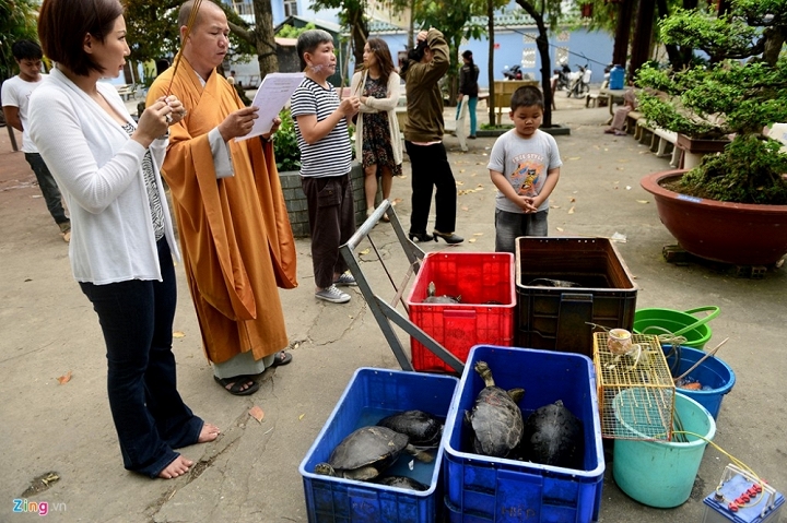 Chị Ngọc (quận 7) đã chi 25 triệu đồng để mua khoảng 80kg rùa mang tới chùa làm lễ phóng sinh.