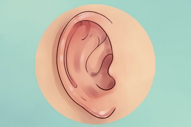 Đôi tai không chỉ là công cụ để nghe mà còn cho thấy nhiều biểu hiện khác của sức khỏe