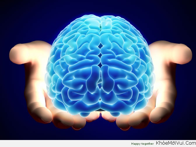 Bộ não và tuổi thọ liên quan như thế nào?