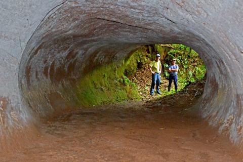 Những đường hầm khổng lồ được phát hiện ở phía Bắc Nam Mỹ.