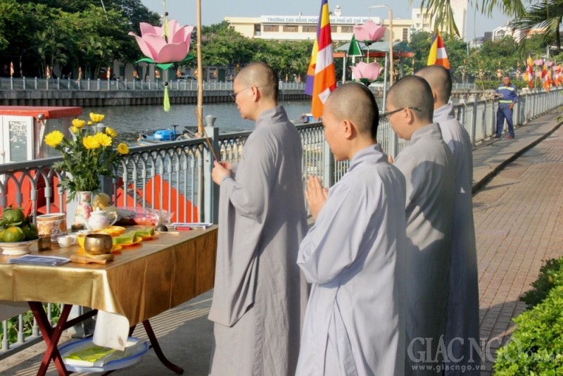 TP.HCM: Hạ thủy sen trắng mừng Phật đản xuống kênh Nhiêu Lộc