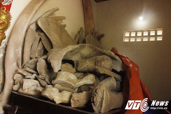 Hai bộ xương lớn nhất Việt Nam được người dân thờ như thần linh ở Quảng Bình