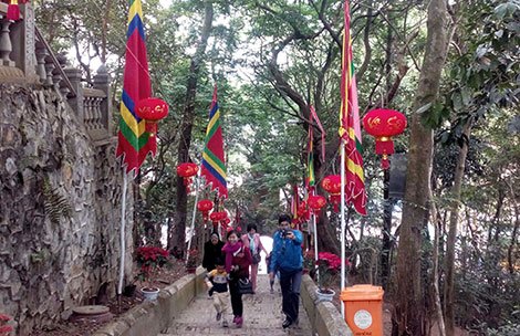 Một góc rừng lim cổ thụ bao quanh đền Cao.
