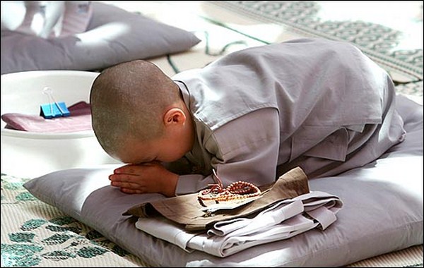 Quy kính Tam bảo là pháp hành căn bản của người con Phật - Ảnh minh họa