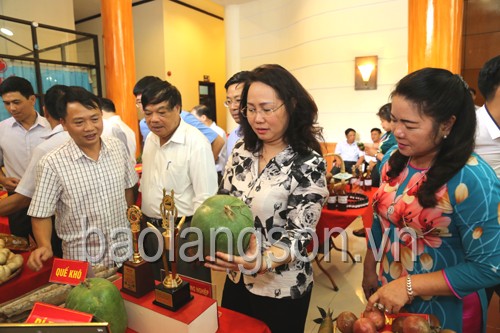 Đồng chí Lâm Thị Phương Thanh, Bí thư Tỉnh ủy (thứ hai từ phải sang) và các đại biểu tham quan khu trưng bày các sản phẩm nông sản