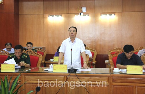 Đồng chí Nguyễn Công Trưởng, Phó Chủ tịch UBND tỉnh Lạng Sơn phát biểu tại cuộc làm việc