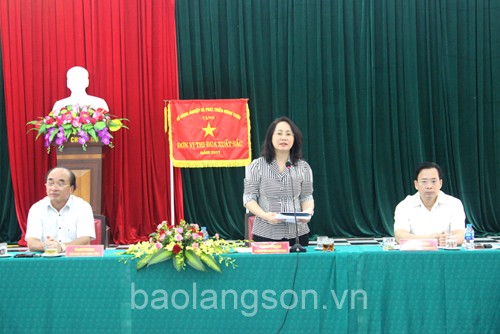 Đồng chí Lâm Thị Phương Thanh, Ủy viên Trung ương Đảng, Bí thư Tỉnh ủy phát biểu tại buổi làm việc