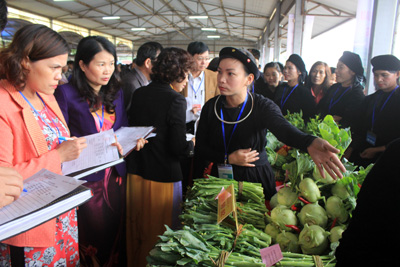 Giám khảo chấm điểm các đội thi