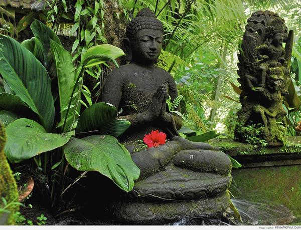 Đặt tượng Phật trong bể thủy sinh có được không?