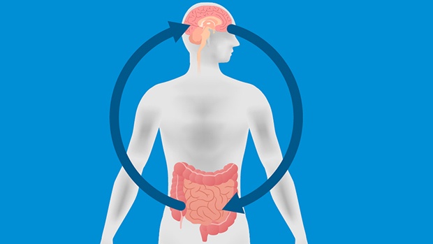 Có mối liên hệ giữa ruột thừa và nguy cơ phát triển bệnh Parkinson