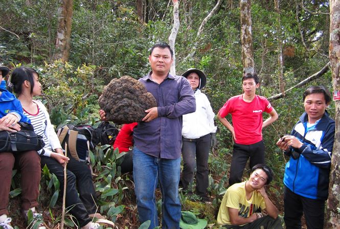 Lội rừng cùng chuyên gia nấm