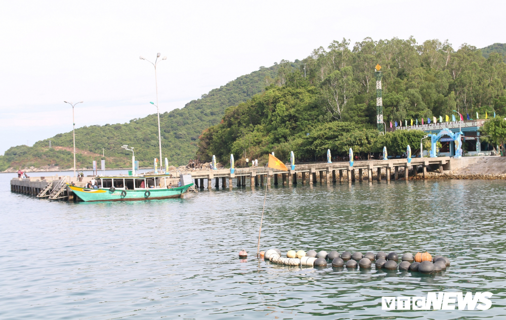 Hành trình xúc động đưa trứng rùa biển từ Côn Đảo về Cù Lao Chàm ấp nở của 'vua rùa'