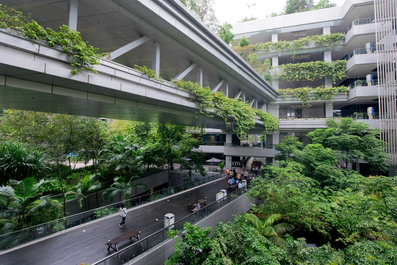 Bệnh viện ‘cây xanh’ ở Singapore: Nơi bệnh nhân được thư giãn như đang đi du lịch
