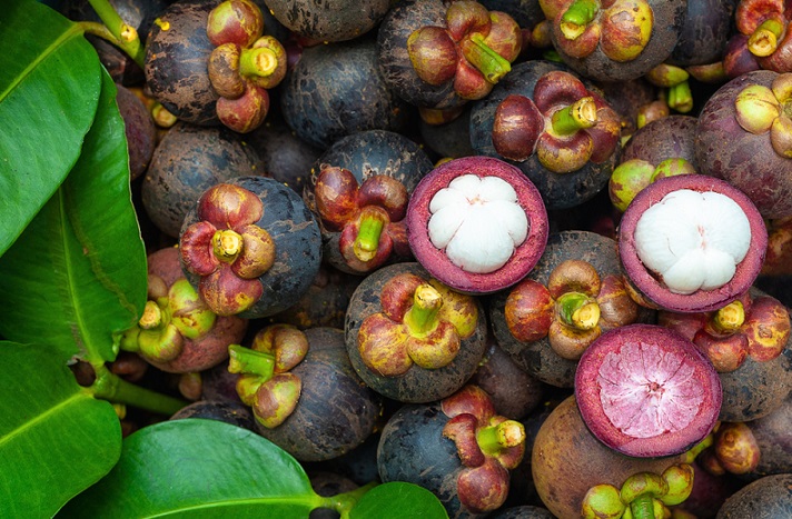 Lợi ích của măng cụt - “Nữ hoàng của các loại trái cây”. (Ảnh: Shutterstock)