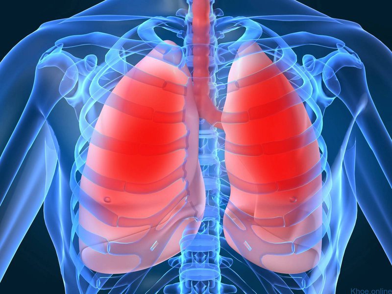 5 dấu hiệu cảnh báo bệnh phổi