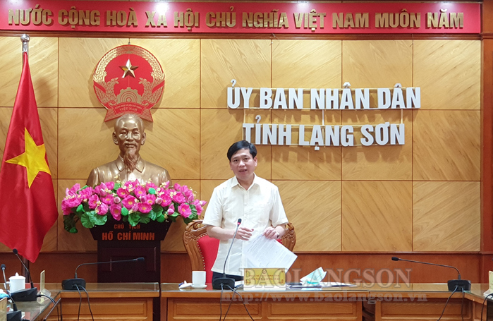 Đồng chí Nguyễn Long Hải, Phó Chủ tịch UBND tỉnh phát biểu kết luận buổi làm việc
