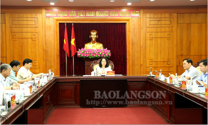 Đồng chí Lâm Thị Phương Thanh, Ủy viên Trung ương Đảng, Bí thư Tỉnh ủy phát biểu chỉ đạo cuộc họp