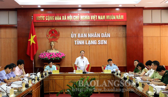 Đồng chí Nguyễn Công Trưởng, Phó Chủ tịch UBND tỉnh phát biểu tại cuộc họp