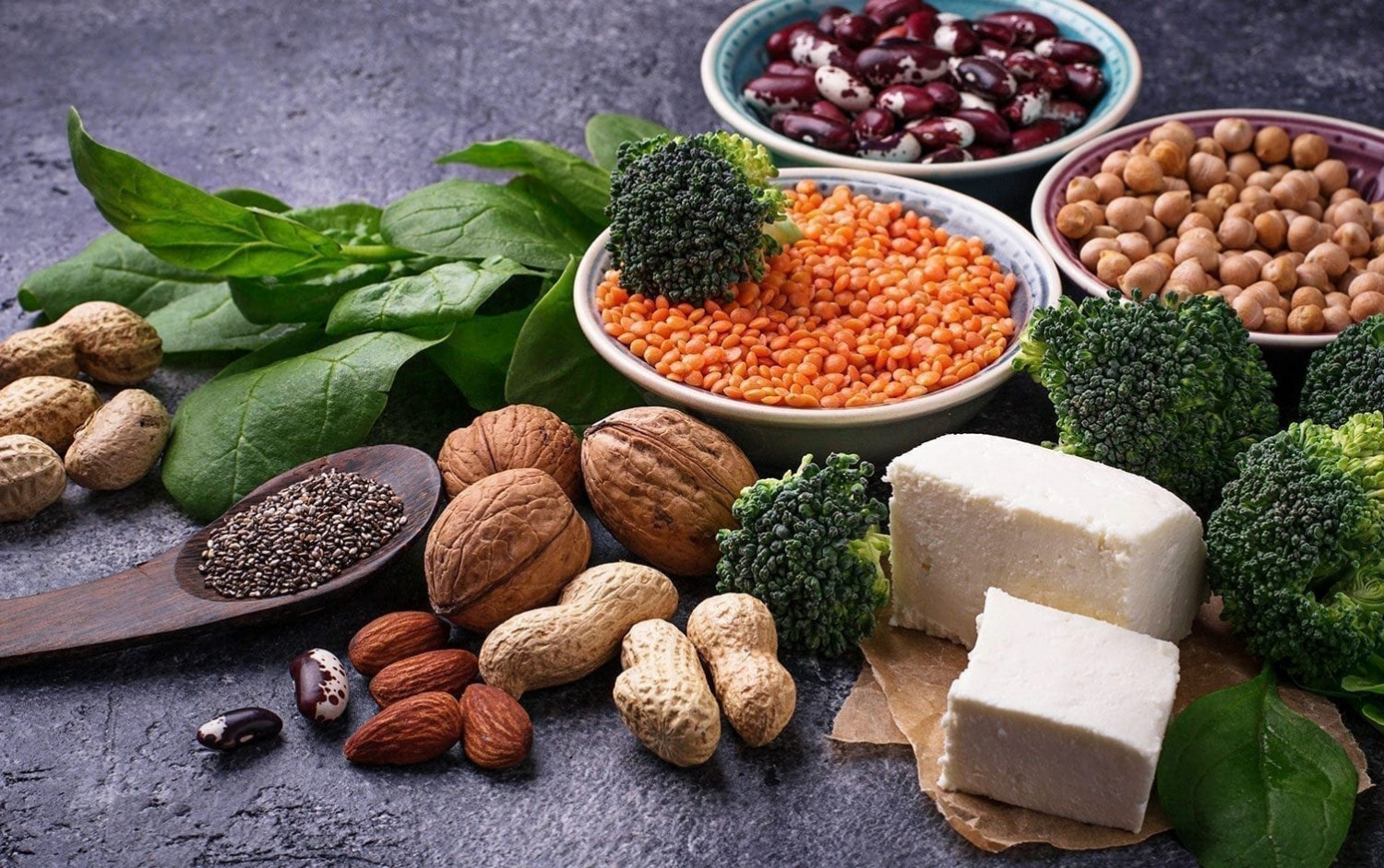 Một số thực phẩm giúp bổ sung đạm cho cơ thể, thúc đẩy hoạt động trao đổi chất