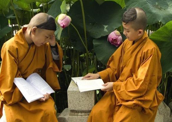 Học kinh điển là bước đầu cần thiết của bất kỳ người học Phật nào