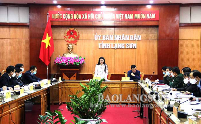 Đồng chí Đoàn Thu Hà, Phó Chủ tịch UBND tỉnh phát biểu chỉ đạo tại cuộc họp
