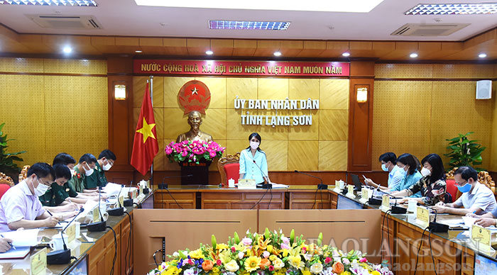 Đồng chí Đoàn Thu Hà, Phó Chủ tịch UBND tỉnh, Trưởng Ban chỉ đạo 3 văn kiện pháp lý về biên giới trên đất liền Việt Nam – Trung Quốc phát biểu tại hội nghị