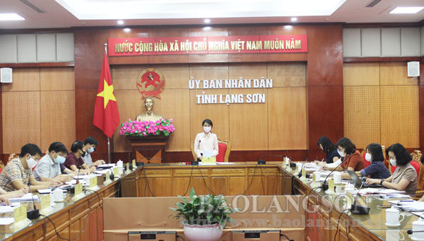 Đồng chí Đoàn Thu Hà, Phó Chủ tịch UBND tỉnh phát biểu kết luận tại cuộc họp