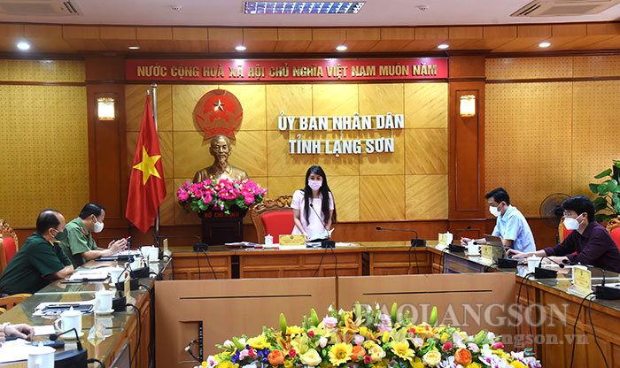 Đồng chí Đoàn Thu Hà, Phó Chủ tịch UBND tỉnh phát biểu tại hội nghị.