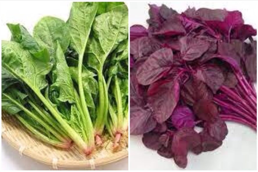 Các loại rau ăn lá như dền đỏ, bó xôi mang lại nhiều lợi ích cho sức khỏe. Đồ họa: Thanh Ngọc