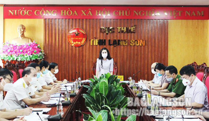 Đồng chí Đoàn Thu Hà, Phó Chủ tịch UBND tỉnh phát biểu tại buổi làm việc