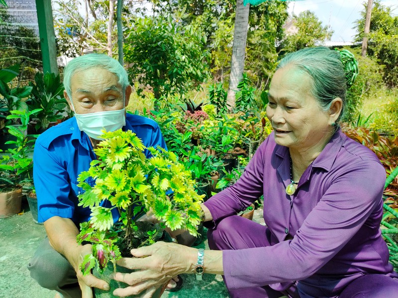 Vợ chồng cô Dung chăm sóc hoa kiểng.