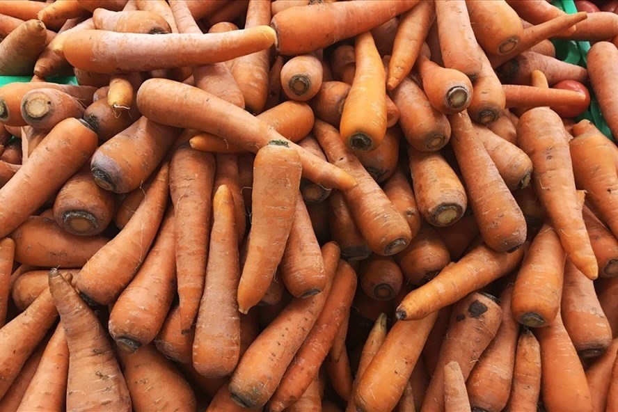 Cà rốt giàu beta-carotene mang lại nhiều lợi ích cho sức khỏe. Ảnh: Thanh Ngọc