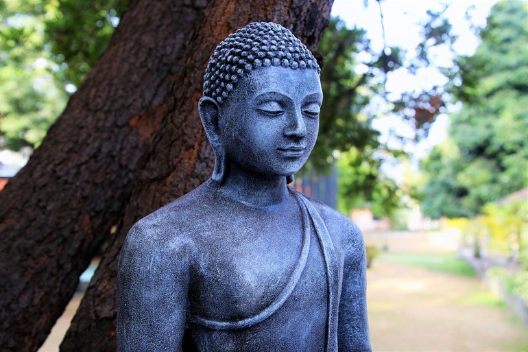 Suy nghiệm lời Phật: Khéo quán sát để biết mình
