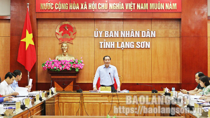 Đồng chí Dương Xuân Huyên, Phó Chủ tịch Thường trực UBND tỉnh, Trưởng Ban Chỉ đạo phát biểu chỉ đạo tại cuộc họp