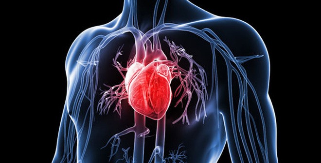 Các dấu hiệu cơ bản cảnh báo bệnh tim mạch không nên bỏ qua