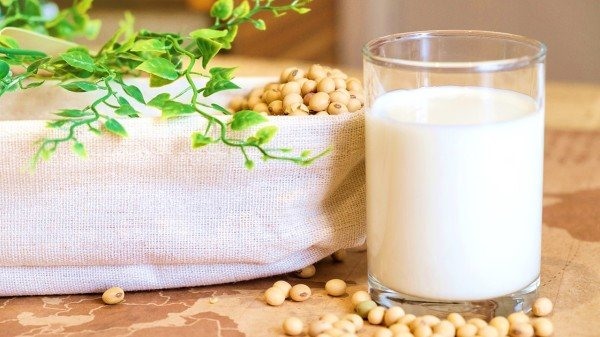 Liệu uống sữa đậu nành thường xuyên có thể mắc bệnh ung thư?