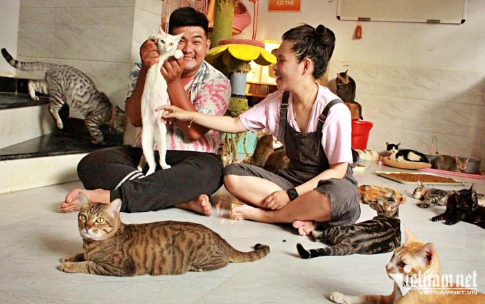 Trúc Lâm và Vân Khanh chơi cùng đàn mèo hoang do mình giải cứu, chăm sóc.