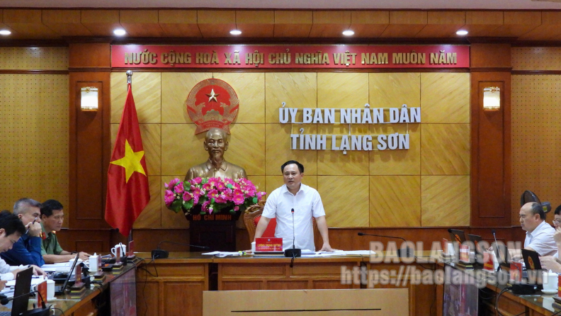 Đồng chí Lương Trọng Quỳnh, Phó Chủ tịch UBND tỉnh phát biểu kết luận cuộc họp