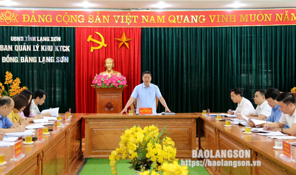 Đồng chí Đoàn Thanh Sơn, Phó Chủ tịch UBND tỉnh phát biểu tại buổi làm việc