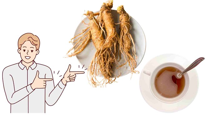 Nhân sâm tốt cho sức khỏe. Đồ họa: Hạ Mây