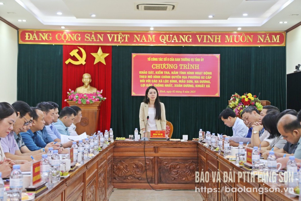 Đồng chí Trưởng Ban Nội chính Tỉnh ủy phát biểu tại buổi khảo sát.